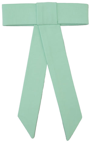 Elegant Green Organza Hair Bow - judaica.city Thumbnail