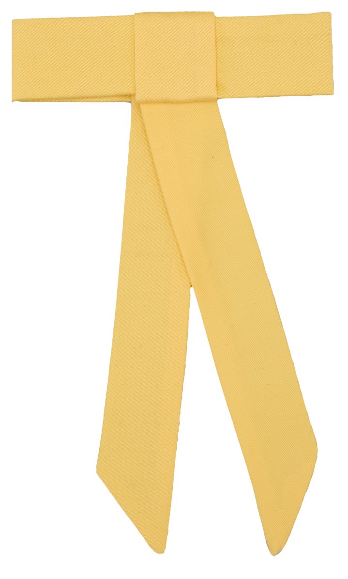 Elegant Yellow Organza Hair Bow - judaica.city